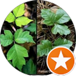 Profile photo of RK Dean