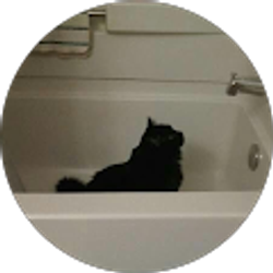 Profile photo of Vickie Flynn