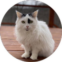 Profile photo of Caitlin Wood