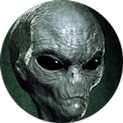 Profile photo of Bob