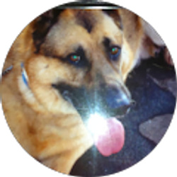 Profile photo of Lisa Pilacik