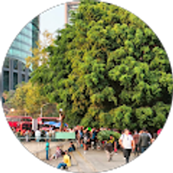 Profile photo of Yviens Grandoit