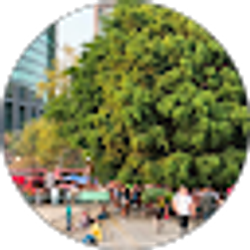 Profile photo of Yviens Grandoit