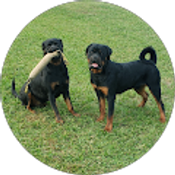 Profile photo of Jorge