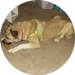 Profile photo of Brock Adelsberger