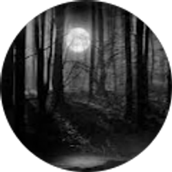 Profile photo of Dylan DeDycker