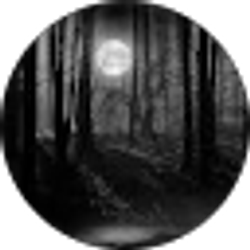 Profile photo of Dylan DeDycker