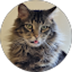 Profile photo of Rachel