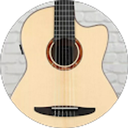 Profile photo of Felipe