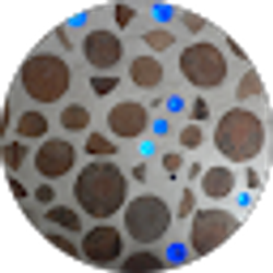 Profile photo of 4d25melissa