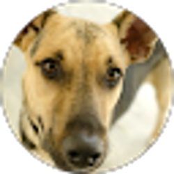 Profile photo of Alms Underground Constr., Inc.