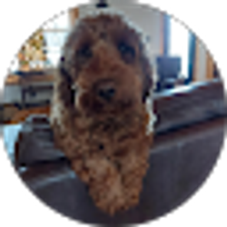 Profile photo of Joy Mattox-Dria