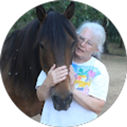 Profile photo of Midge McGinnis