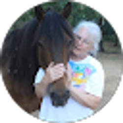 Profile photo of Midge McGinnis