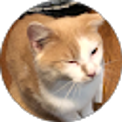 Profile photo of Quack Quack (quackson)