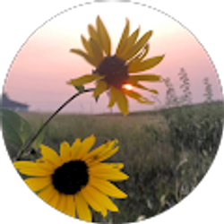 Profile photo of Karla Kautz