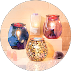 Profile photo of Ryshunn Brown