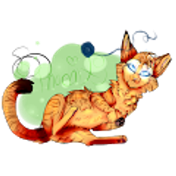 Profile photo of Lumi