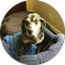 Profile photo of Amy Martin