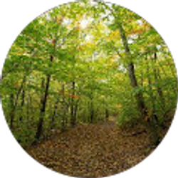 Profile photo of Eddie Murphy