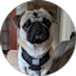 Profile photo of Jamie Grubb