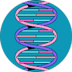 Profile photo of Shana Daniels