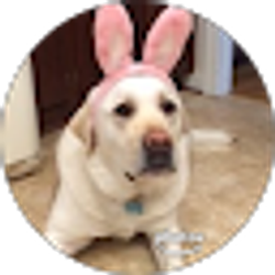 Profile photo of Jen Shelton