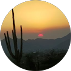 Profile photo of Ana Alicia Alvarez