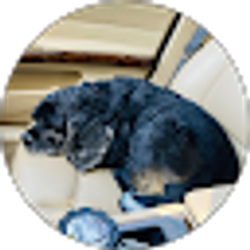 Profile photo of Marvin