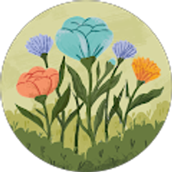 Profile photo of Kim Matson