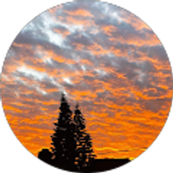 Profile photo of Mahin Khandker