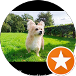 Profile photo of Jilali khalil