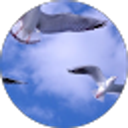 Profile photo of G R