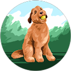 Profile photo of R Kakudo