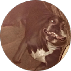 Profile photo of Spazz Egly