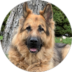 Profile photo of Dennis Gunter