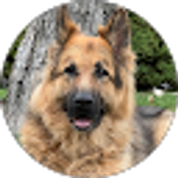 Profile photo of Dennis Gunter