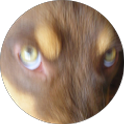 Profile photo of Vicki Allen