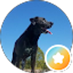 Profile photo of mjm