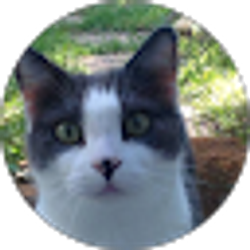 Profile photo of PennyVae