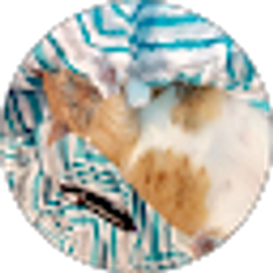 Profile photo of AleshaAnn