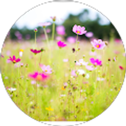 Profile photo of Nicole Nelson