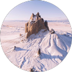 Profile photo of WILFRED D