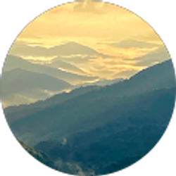 Profile photo of Steve Rutherford