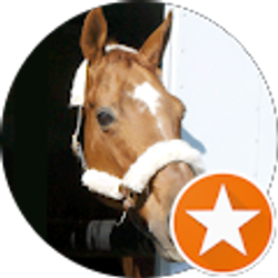 Profile photo of Julie Carwellos