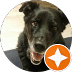 Profile photo of Vicky Nelson