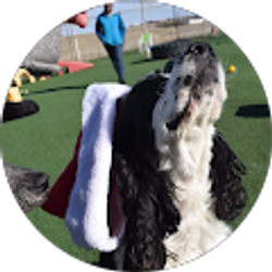 Profile photo of Joseph Rivera