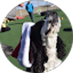 Profile photo of Joseph Rivera