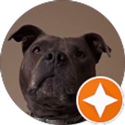 Profile photo of Sylvester Johnson