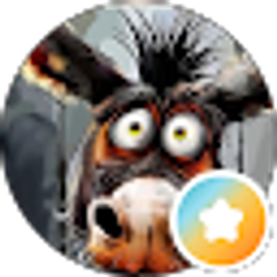 Profile photo of Hee Haw